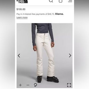 North face apex STH pants